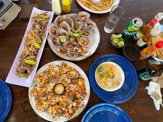 Vida Taco Bar